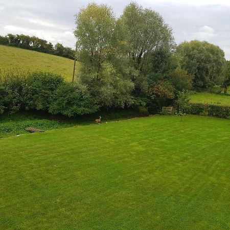 Maison Moderne A La Campagne Bezinghem Eksteriør billede