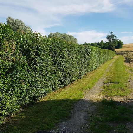 Maison Moderne A La Campagne Bezinghem Eksteriør billede
