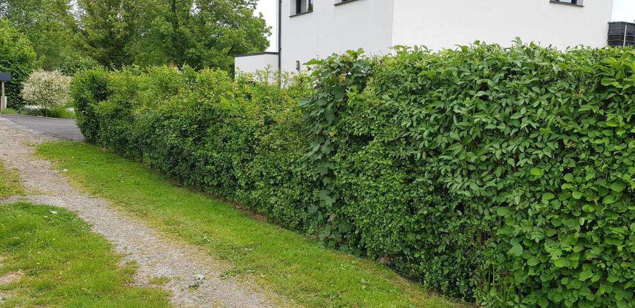 Maison Moderne A La Campagne Bezinghem Eksteriør billede