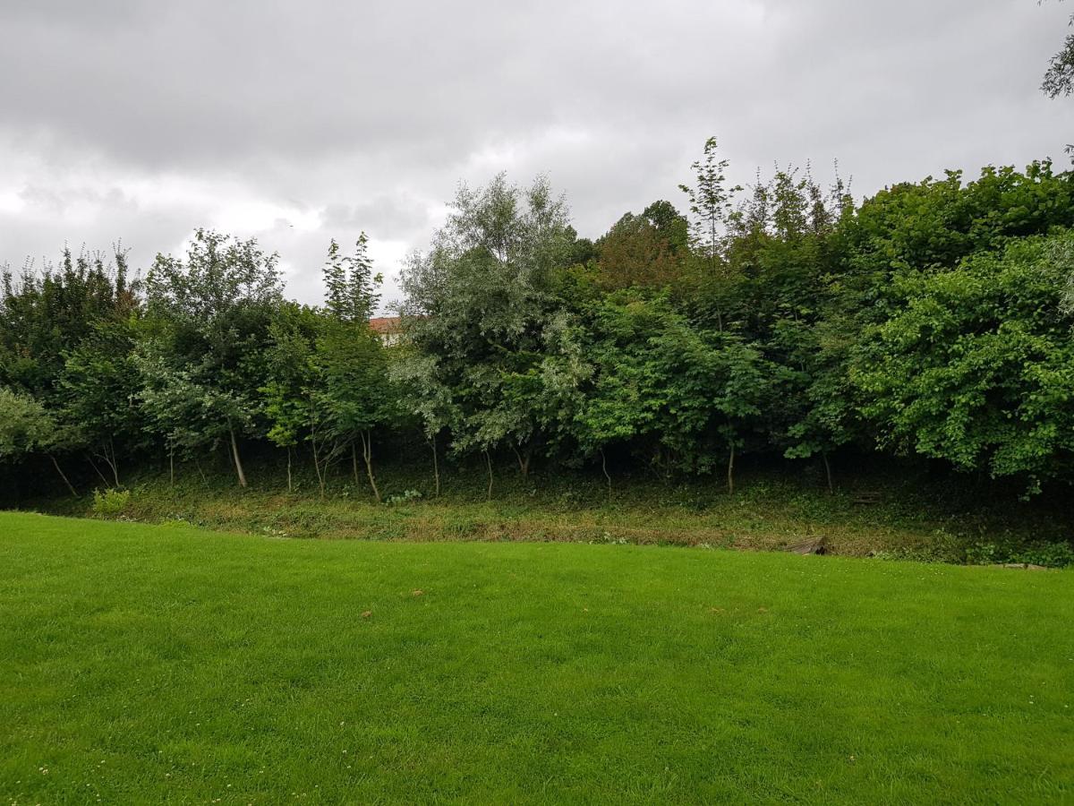 Maison Moderne A La Campagne Bezinghem Eksteriør billede