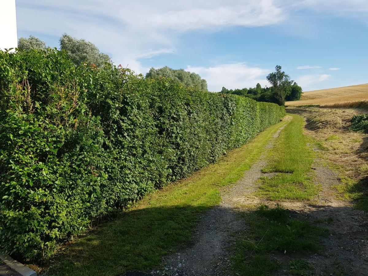 Maison Moderne A La Campagne Bezinghem Eksteriør billede